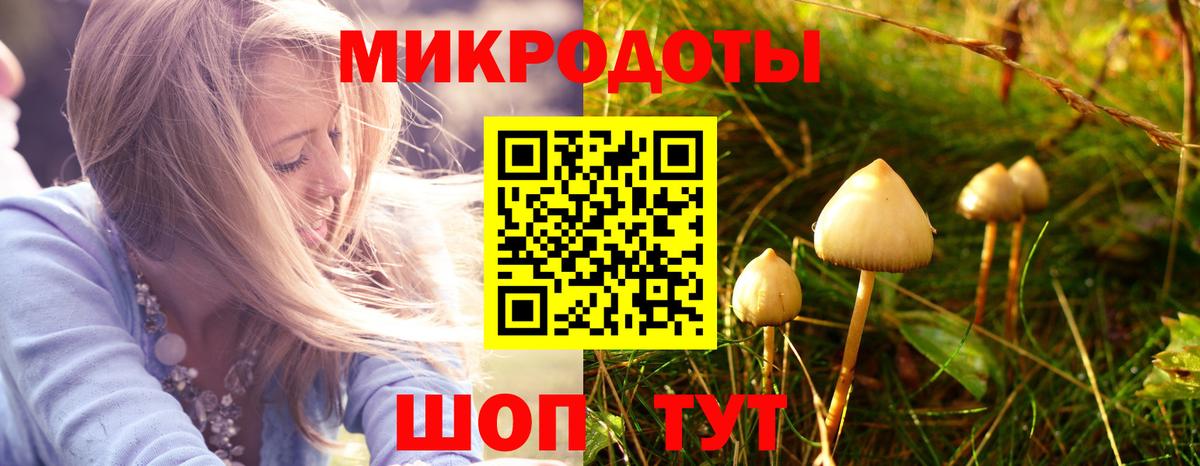 Псилоцибиновые грибы Psilocybine cubensis Ачинск