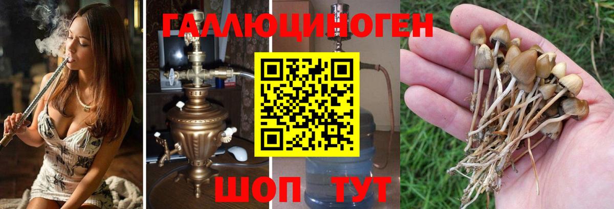 Каннабис Ачинск